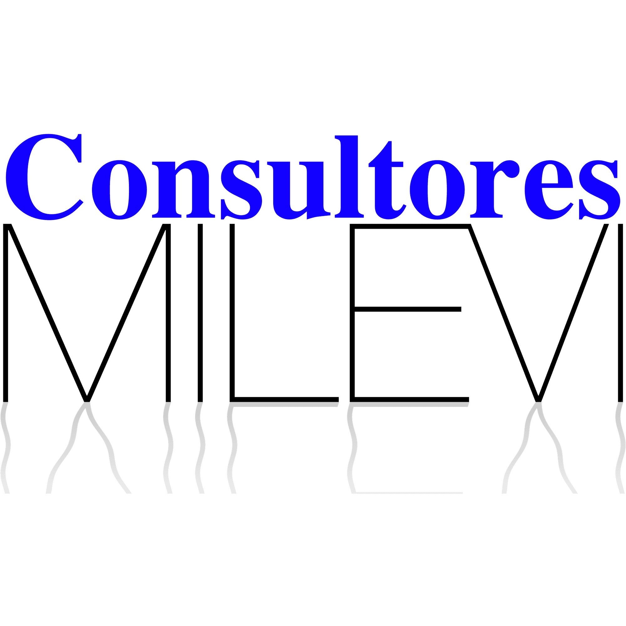 Consultores MILEVI